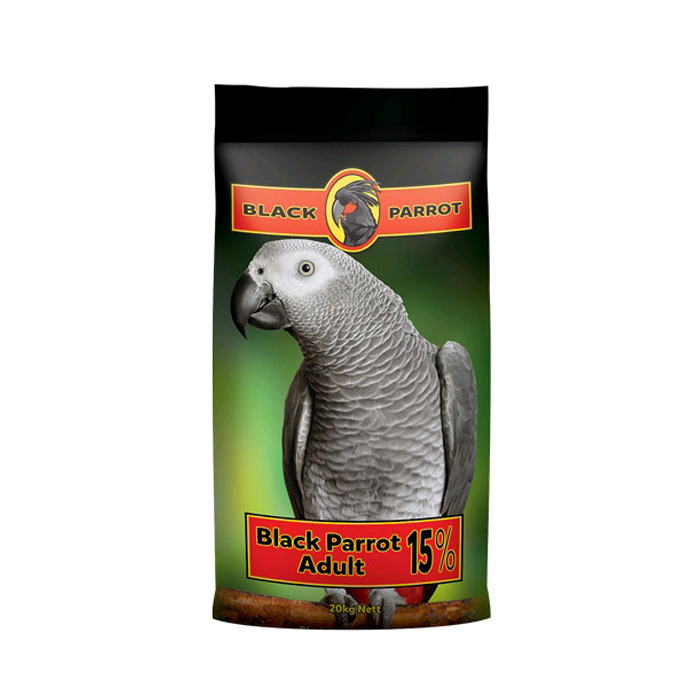 black-parrot-adult