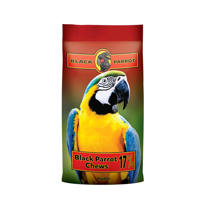 black-parrot-chews
