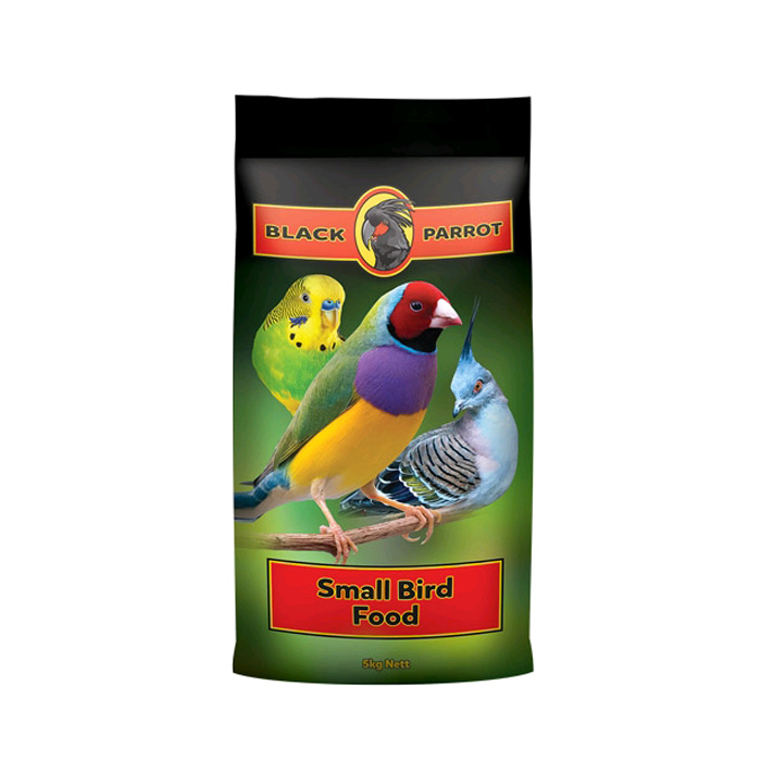 black-parrot-small-bird food