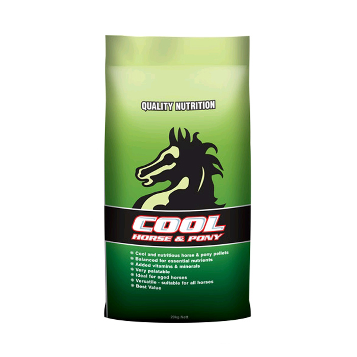 cool-horse-pony