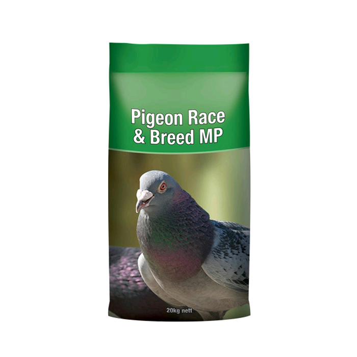 pigion-race-breed