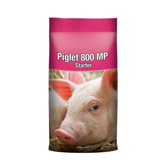 piglet-808-MP-starter