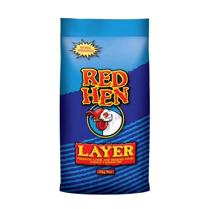 red-hen-layer