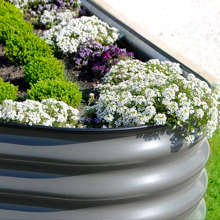 Raised Garden Beds