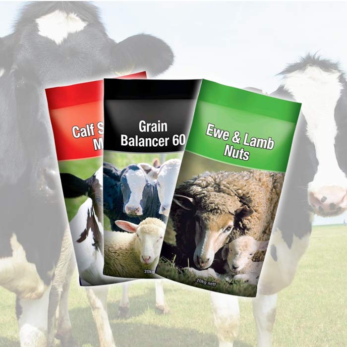 Ruminant Feed