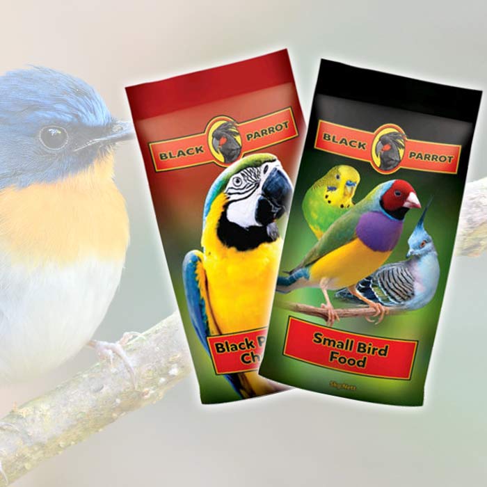 Bird Feed