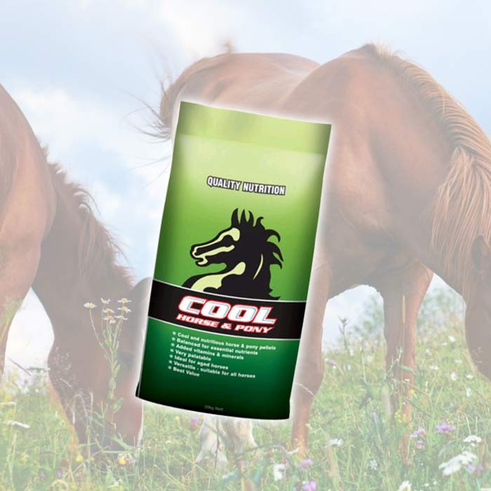 Horse Feed
