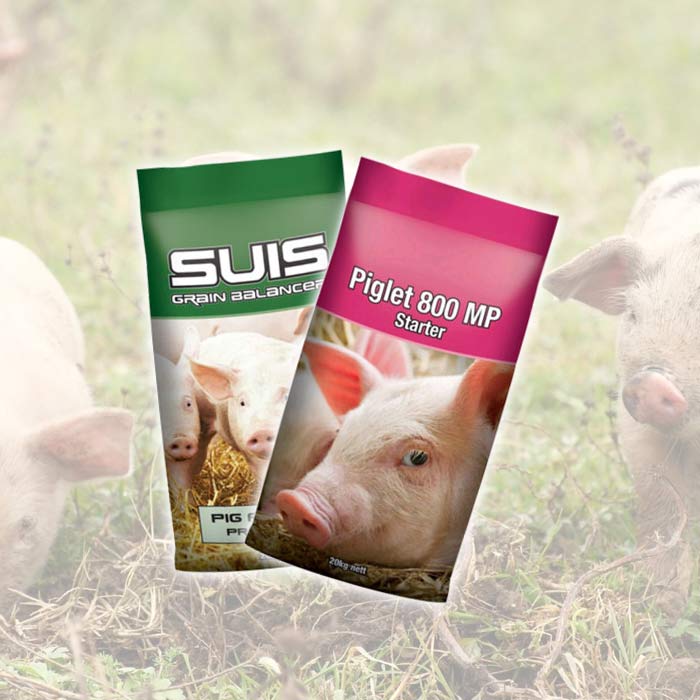 Pig Feed