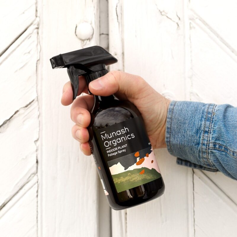 Indoor Plant Foliage Spray 500ml - Image 2
