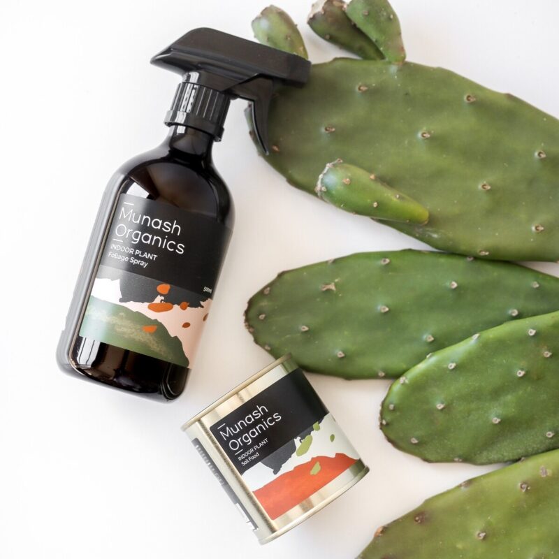 Indoor Plant Care Bundle