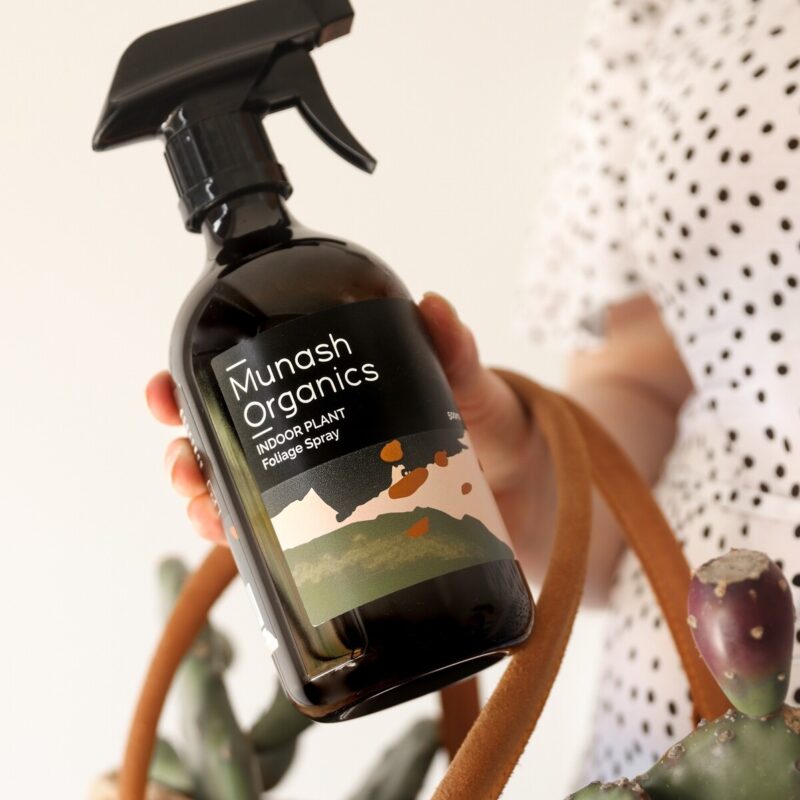 Indoor Plant Foliage Spray 500ml