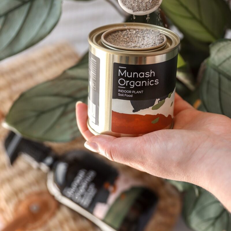 Indoor Plant Care Bundle - Image 2