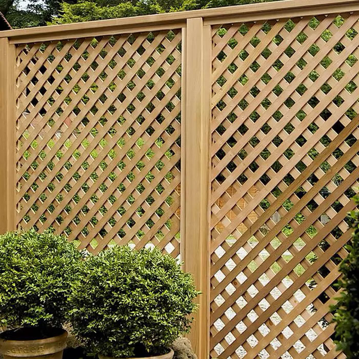 Trellis - Lattice