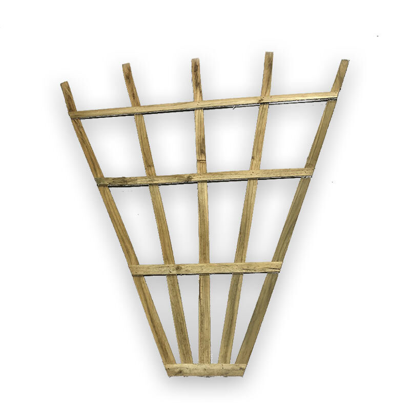 Permapine Fan Trellis 1.2m High