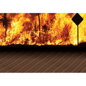 ModWood Flame Shield® 137mm x 23mm x 5.4m - Image 2